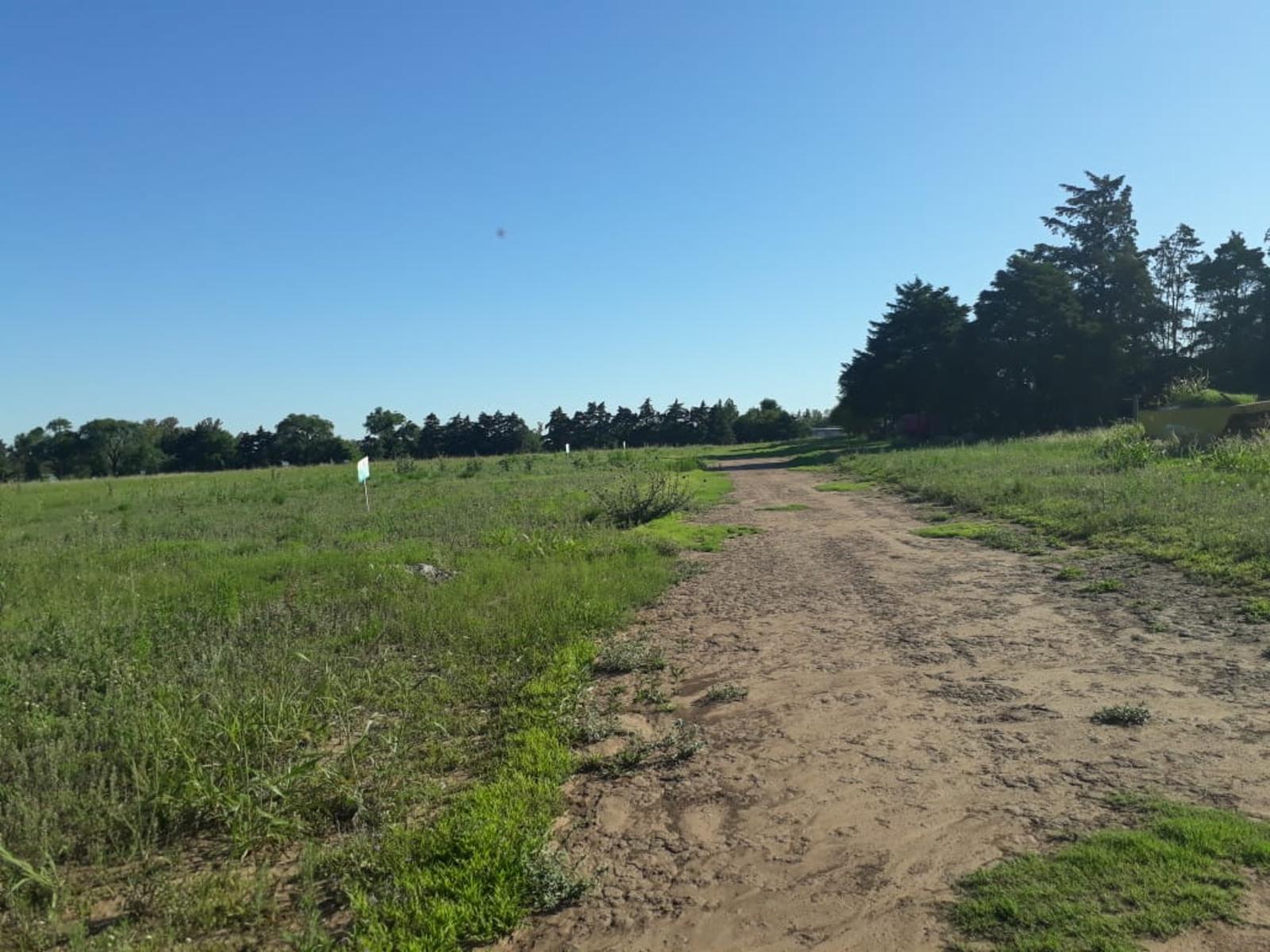 Ruta Provincial N° 5 KM 17 · Santa María — foto 9