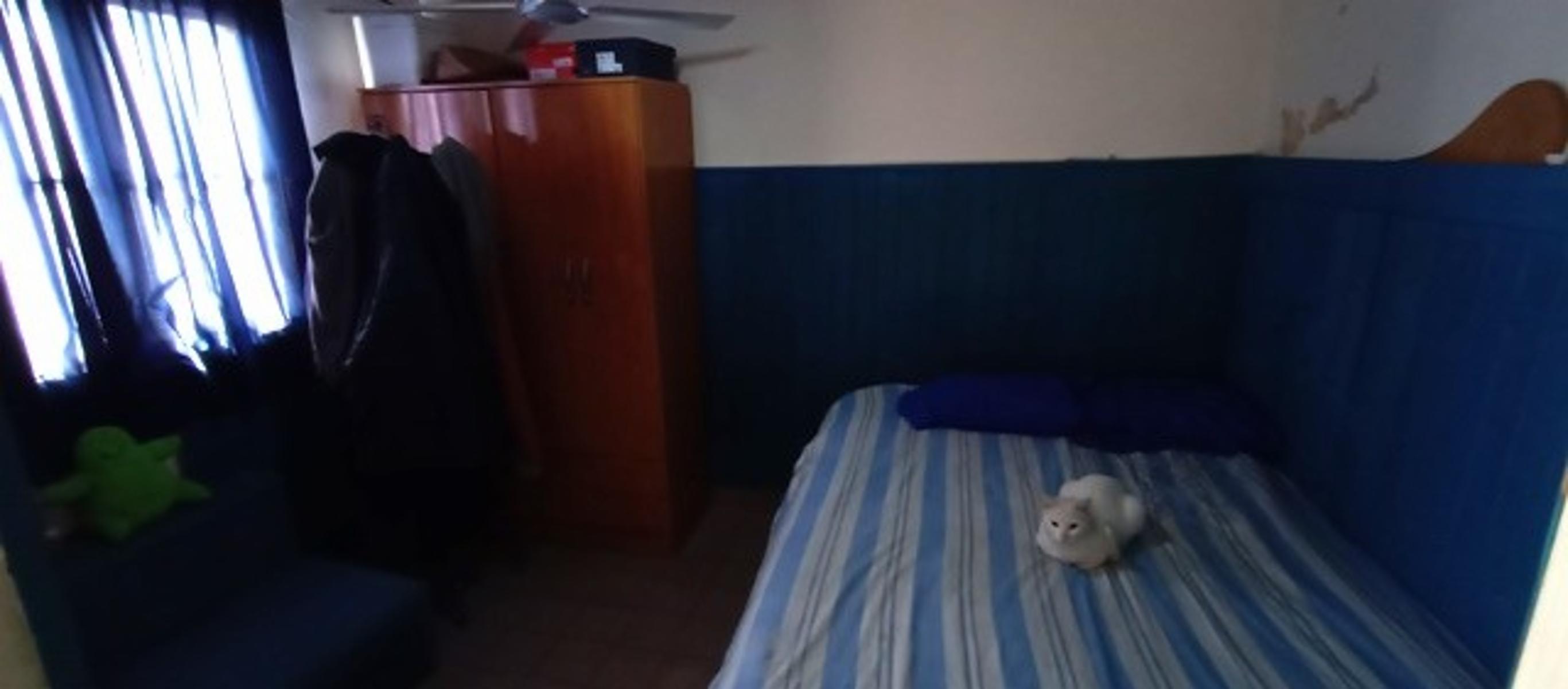 Ocampo · La Matanza — foto 11
