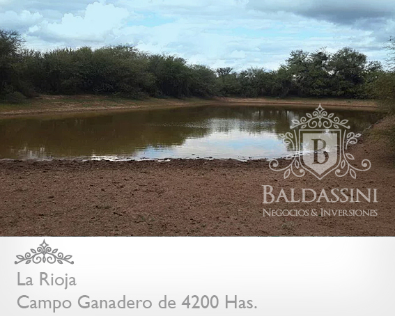 CAMPO GANADERO TOTALMENTE ALAMBRADO DE 4200 HAS. EN LA RIOJA. AGUA - CASA