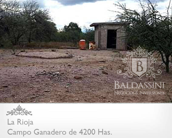CAMPO GANADERO DE 4200 HAS. EN LA RIOJA · Capital — foto 3