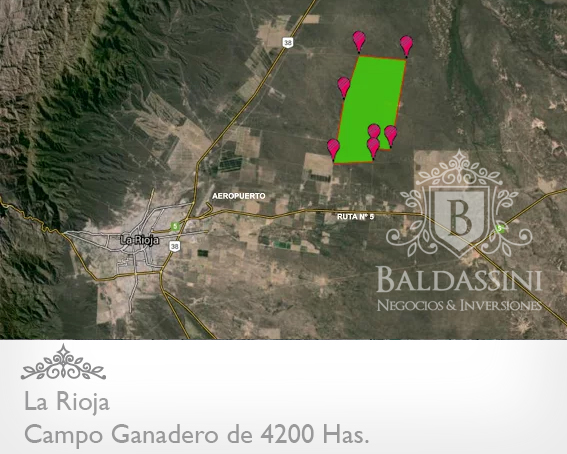 CAMPO GANADERO DE 4200 HAS. EN LA RIOJA · Capital — foto 4