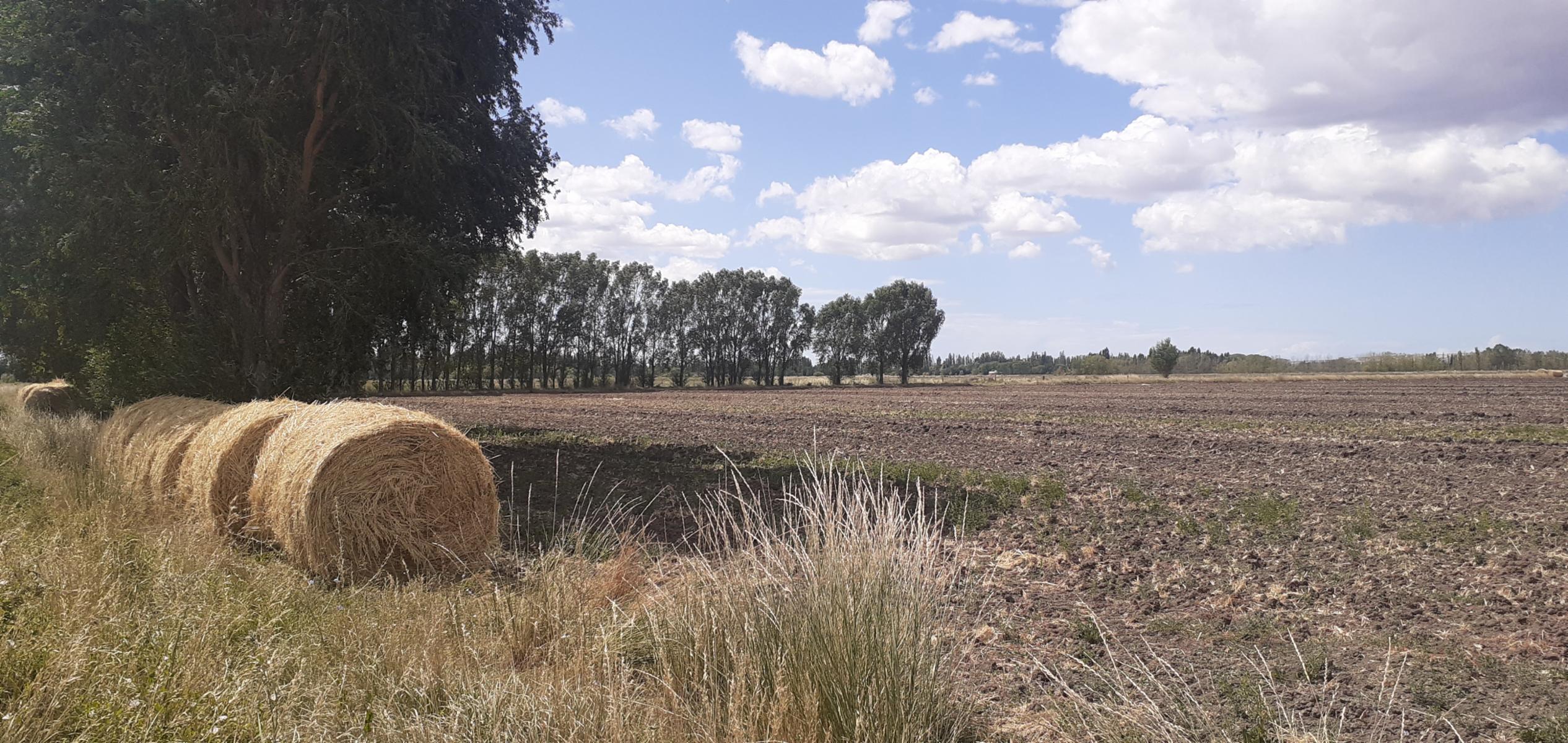 RUTA PROV. 7 K 30 · Rawson — foto 3