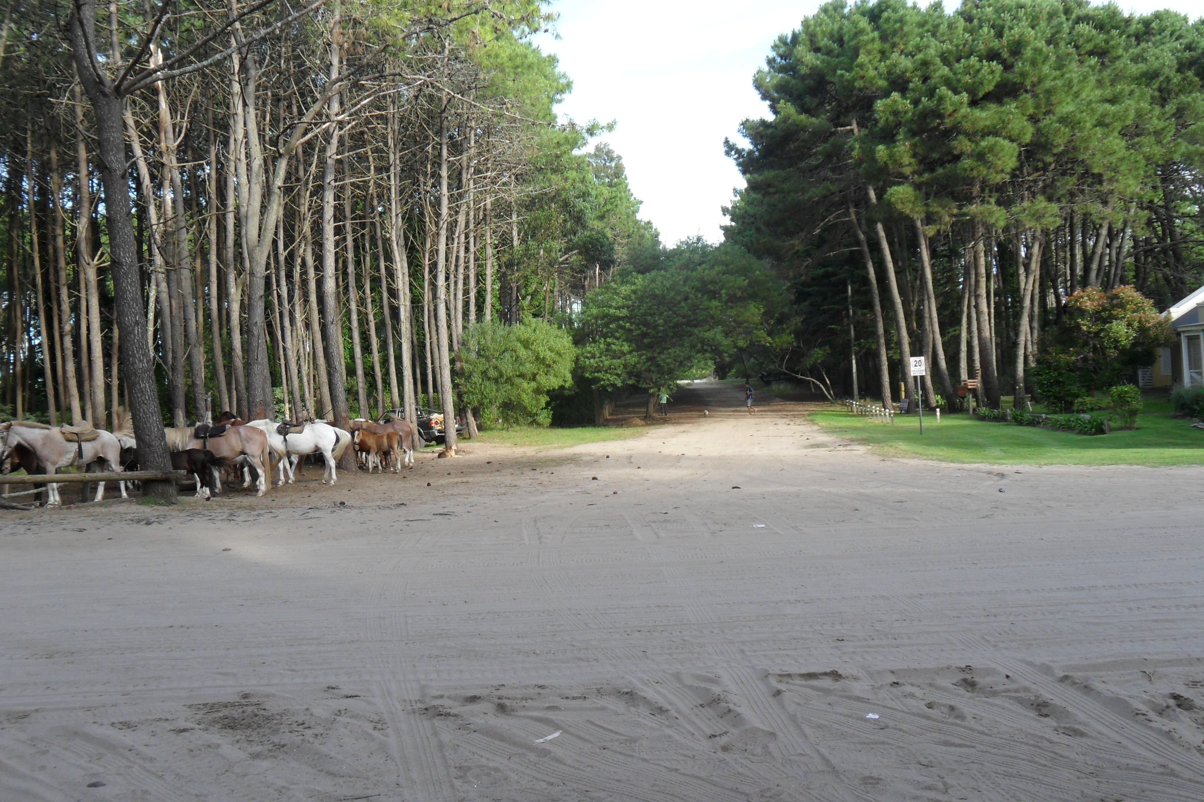 Mar del plata y 40 · Villa Gesell — foto 5