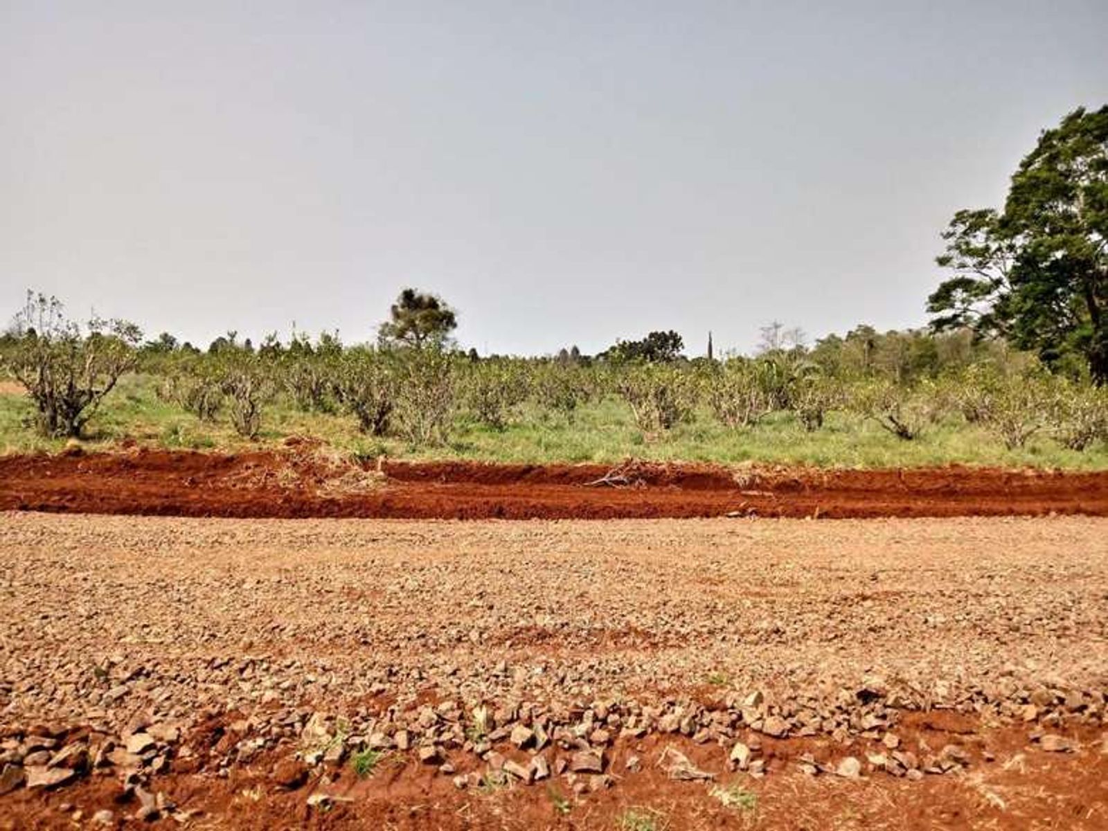 Lote 11 en Loteo Don Carlos: naturaleza, amplitud y una hermosa vista