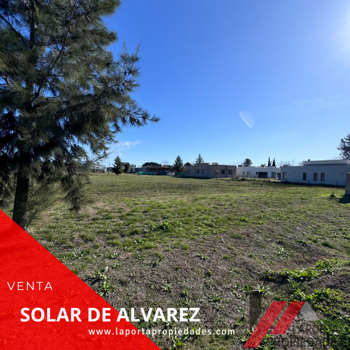 COROLA LORENZINI · Moreno — foto 3