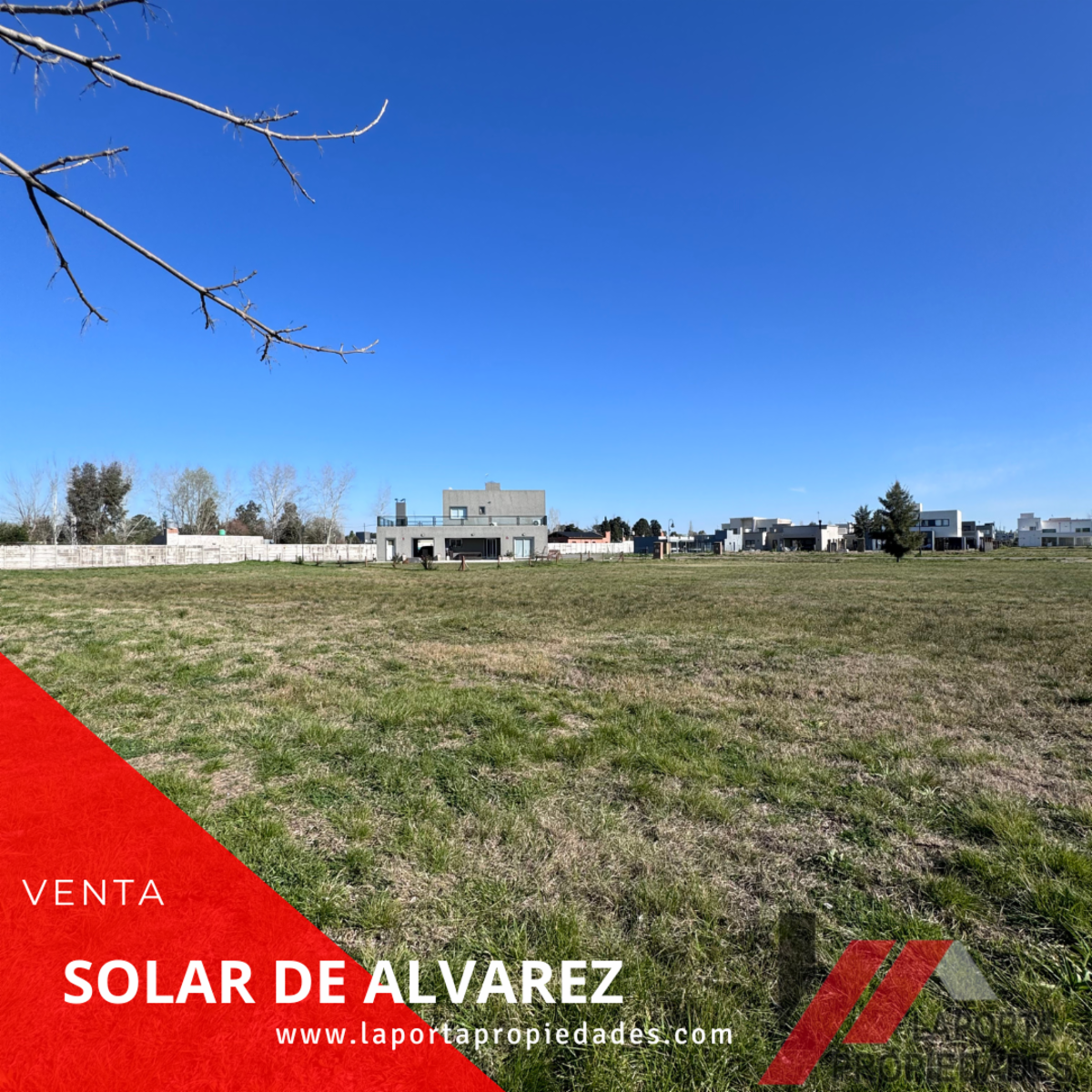 COROLA LORENZINI · Moreno — foto 4