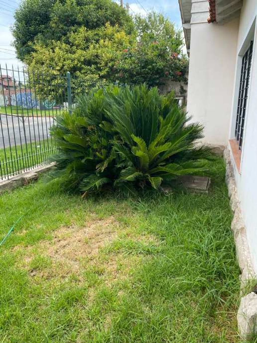 Año 1852 594 · Morón — foto 14