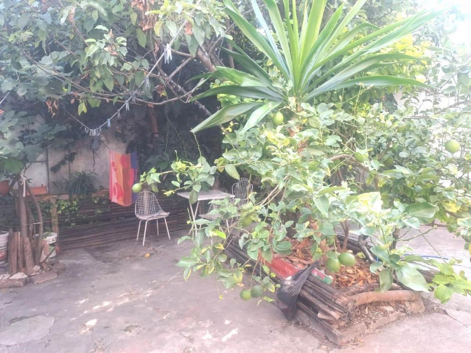 ESPINOSA 2800 · La Paternal — foto 5