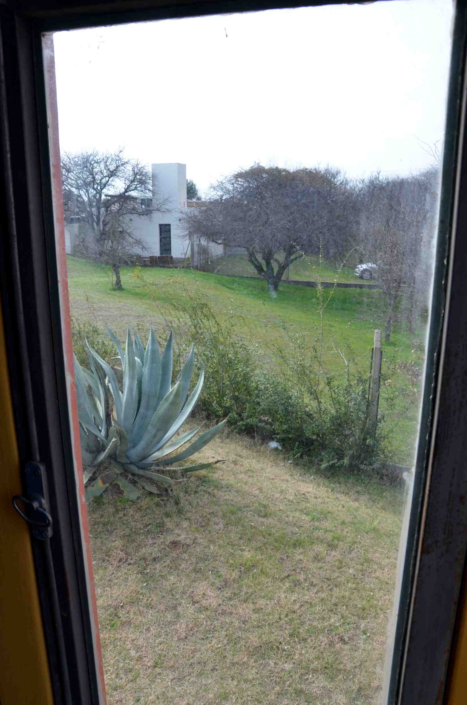 Cardenal Amarillo · Toay — foto 6