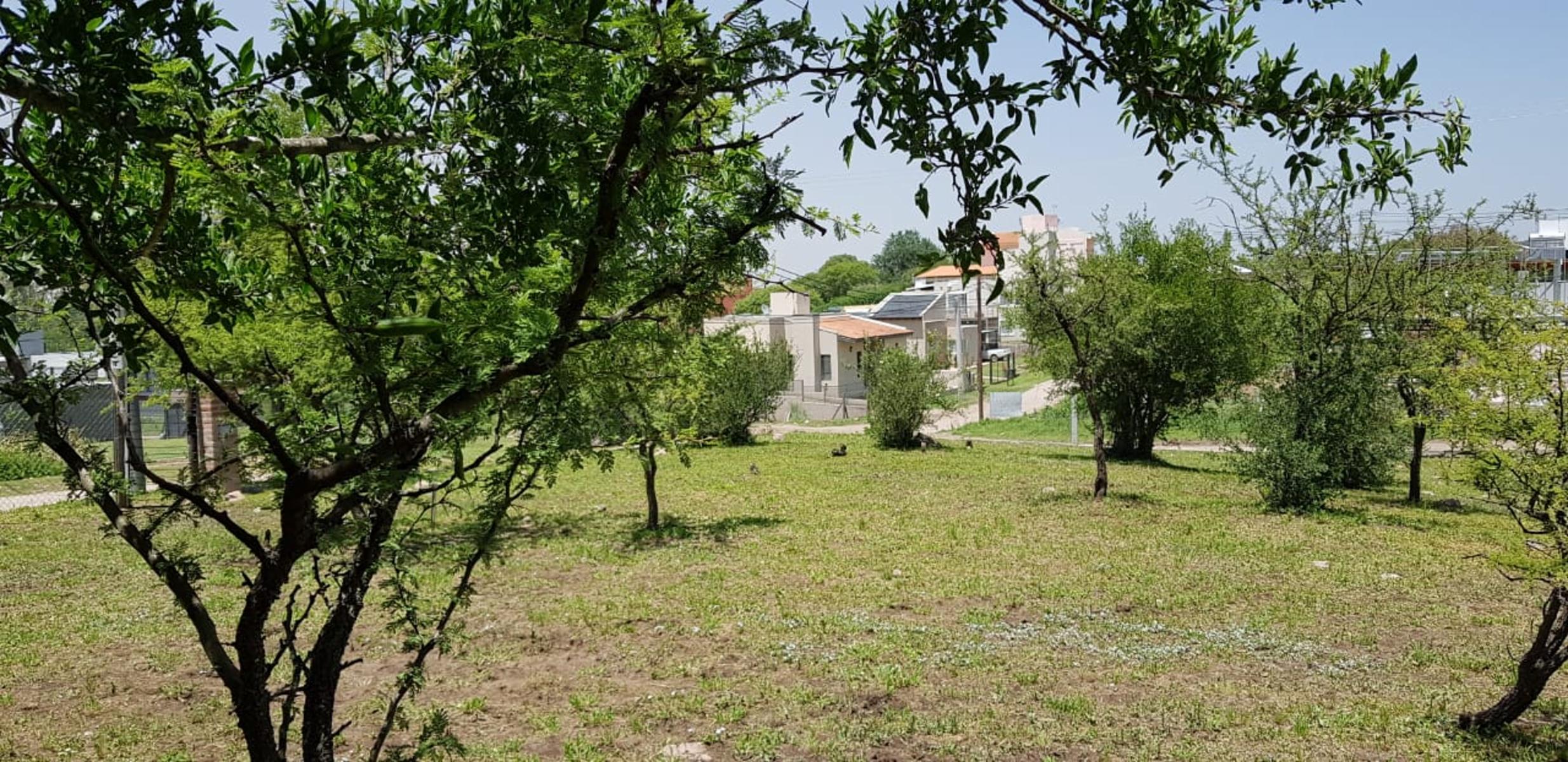 mendiolaza · Colón — foto 5