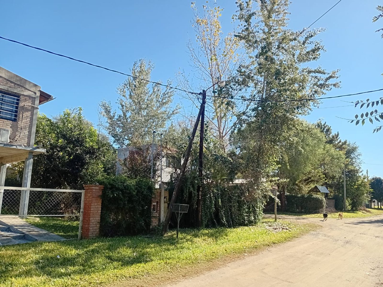 LA GAVIOTA · Santa María — foto 10