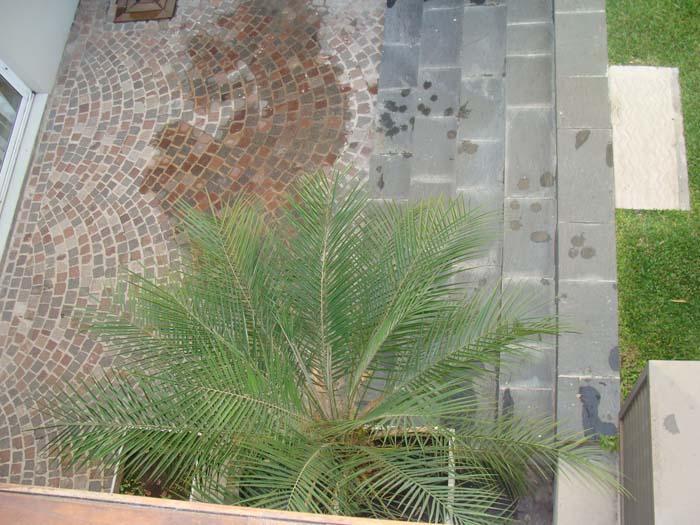 humboldt 2400 · Palermo — foto 4