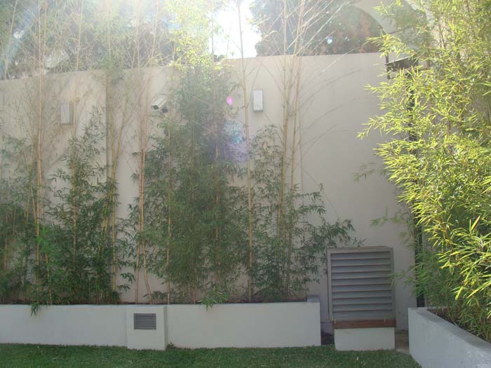 humboldt 2400 · Palermo — foto 10