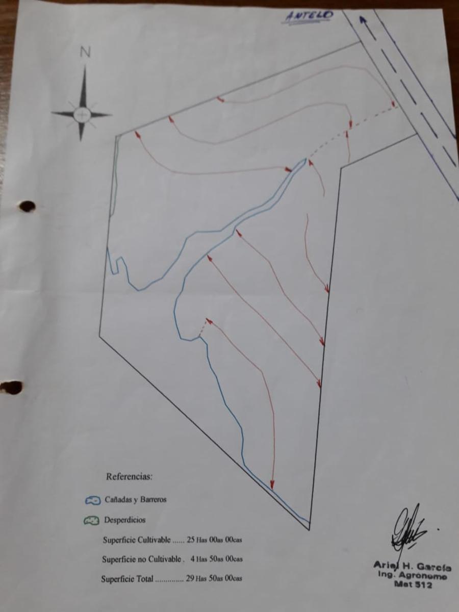 Antelo · Victoria — foto 5