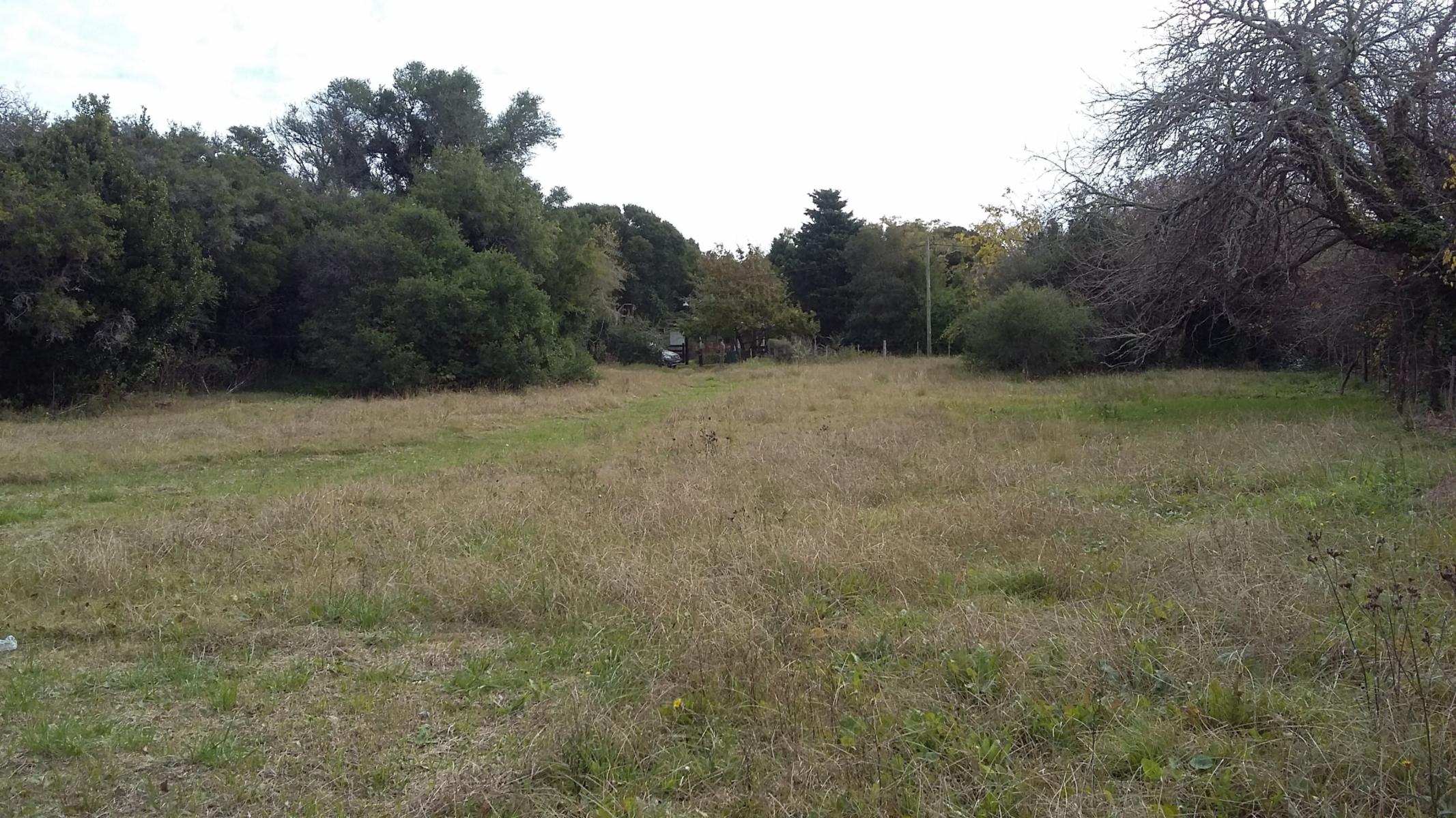 Dorrego · Punta Indio — foto 11