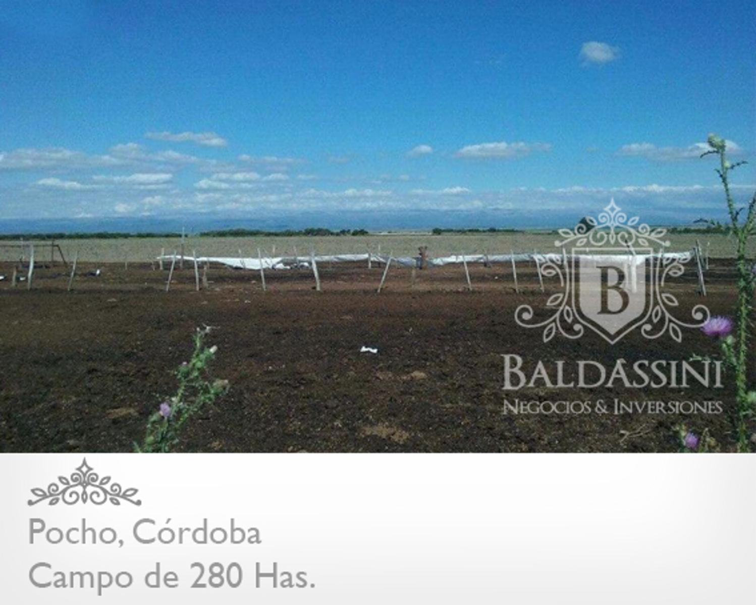 CAMPO MIXTO DE 280 HAS EN PAMPA DE  POCHO - LISTO PARA INICIAR LA ESCRITURACIÓN
