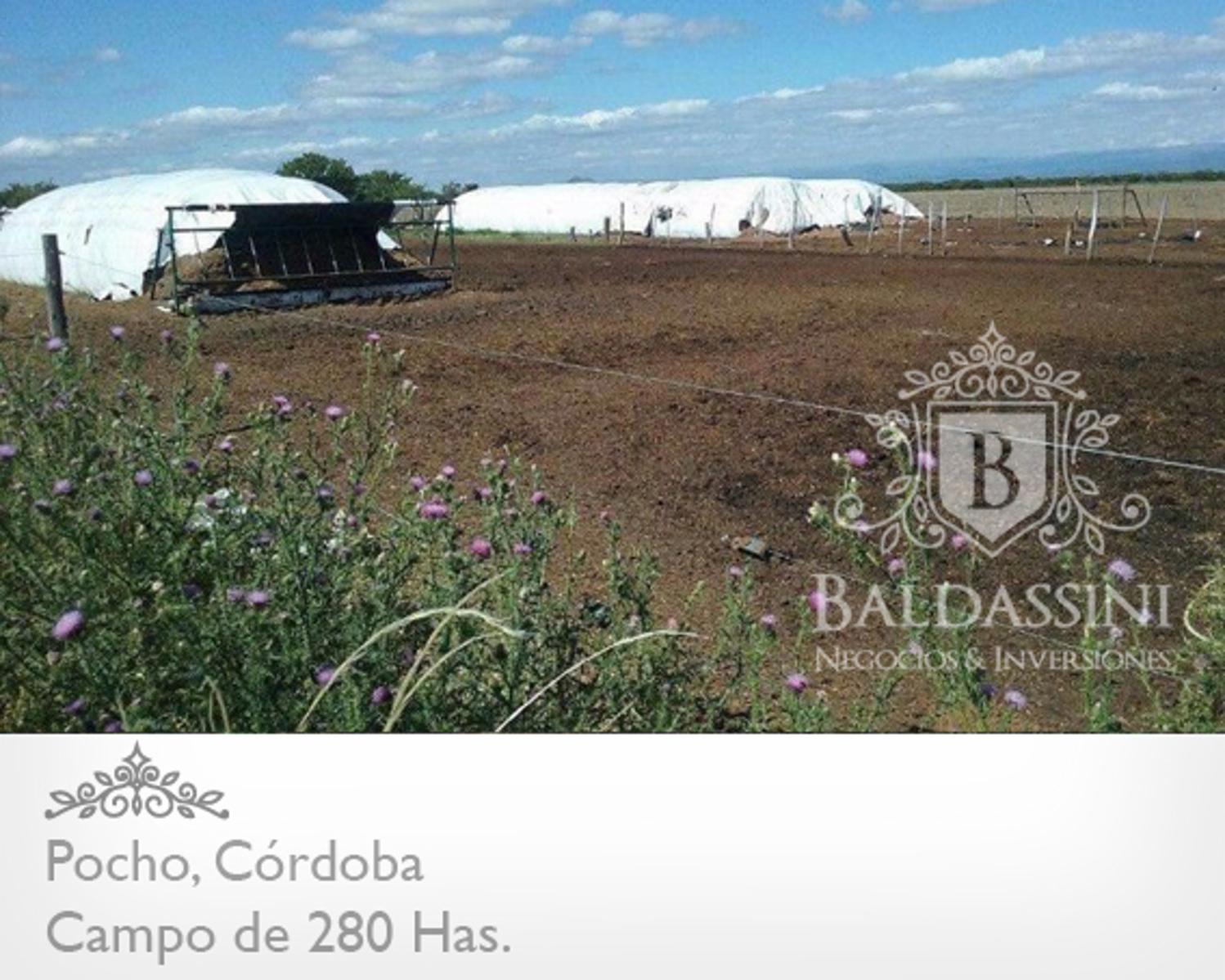 CAMPO DE 280 HAS A 25 KM DE RUTA 15 · Pocho — foto 3