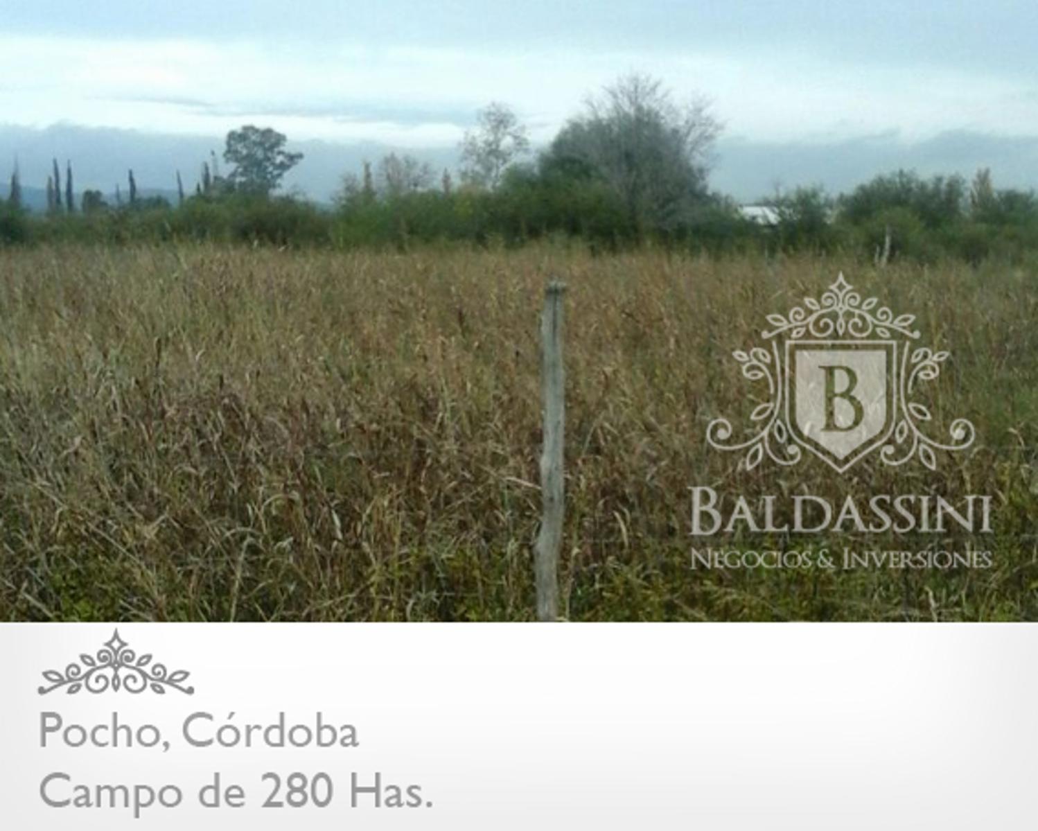 CAMPO DE 280 HAS A 25 KM DE RUTA 15 · Pocho — foto 4