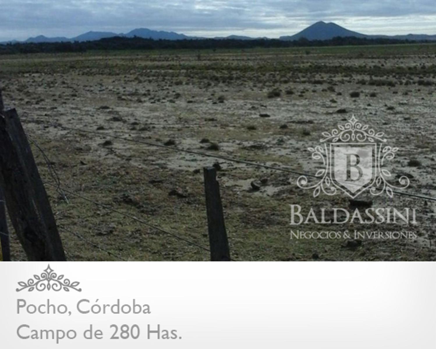 CAMPO DE 280 HAS A 25 KM DE RUTA 15 · Pocho — foto 5