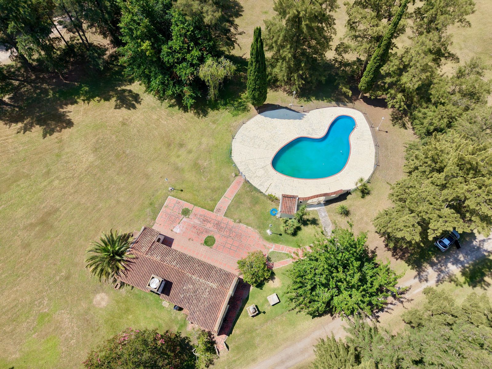 LOTE N 32 · Brandsen — foto 6