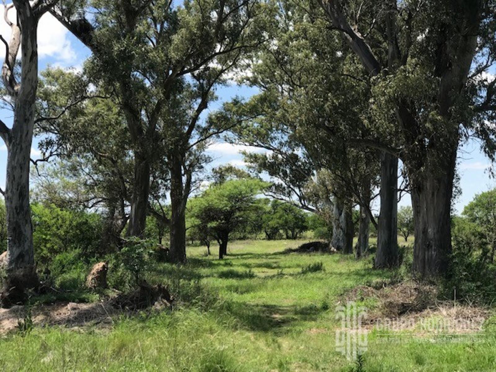 ANISACATE A UN MINUTO DEL RÍO · Santa María — foto 12