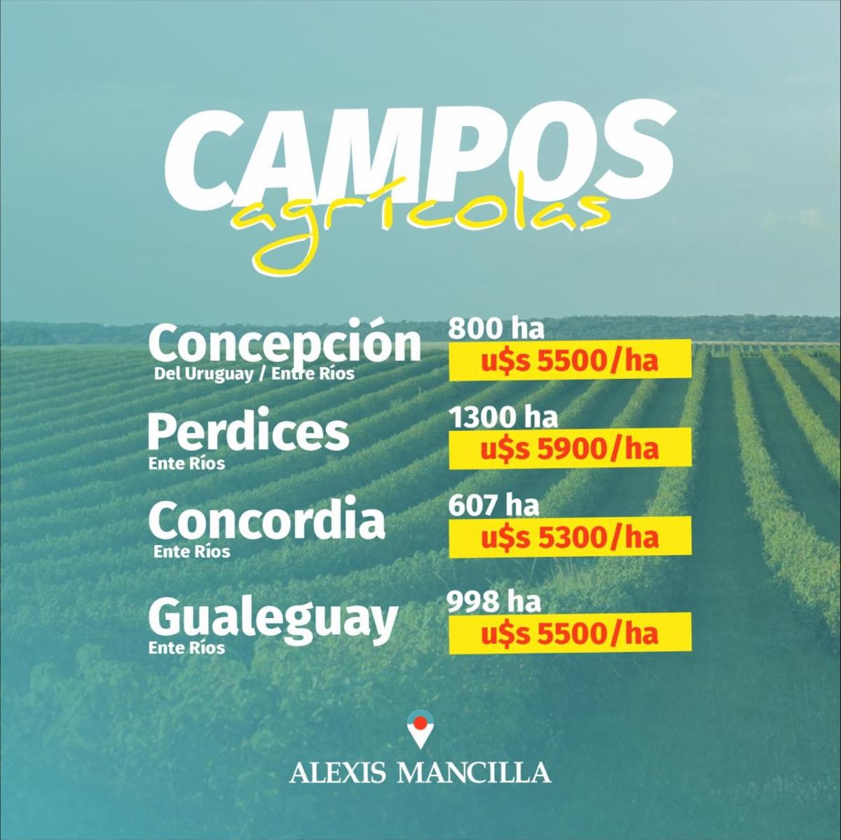 CAMPOS AGRÍCOLAS  ENTRE RÍOS