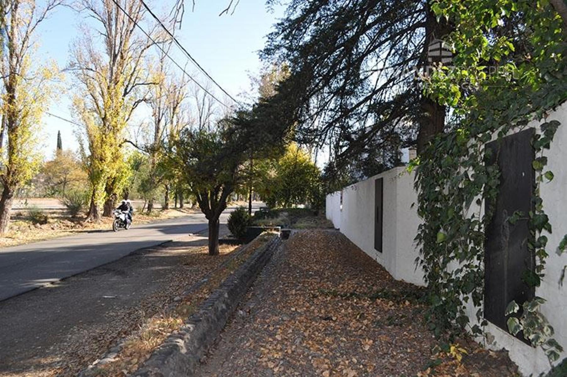 Laprida · Luján de Cuyo — foto 11