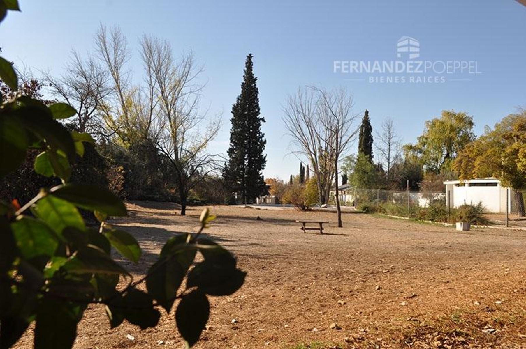 Laprida · Luján de Cuyo — foto 15