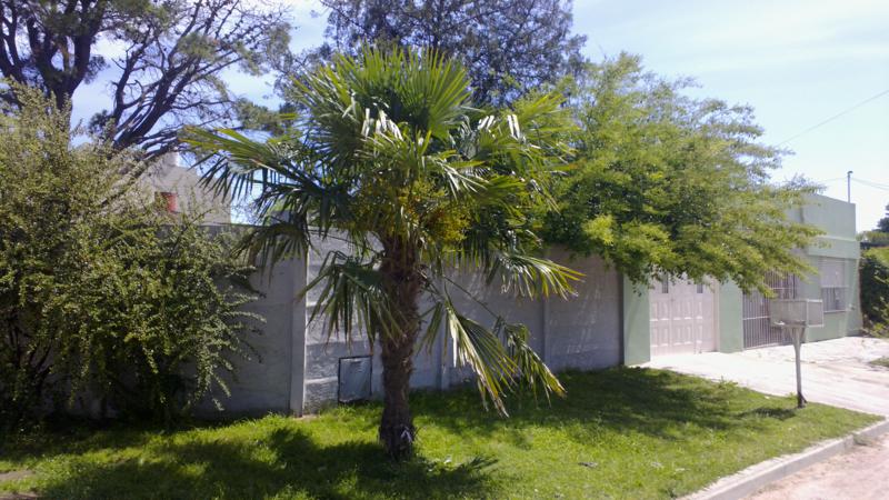 MAIPU 2036 · Azul — foto 15
