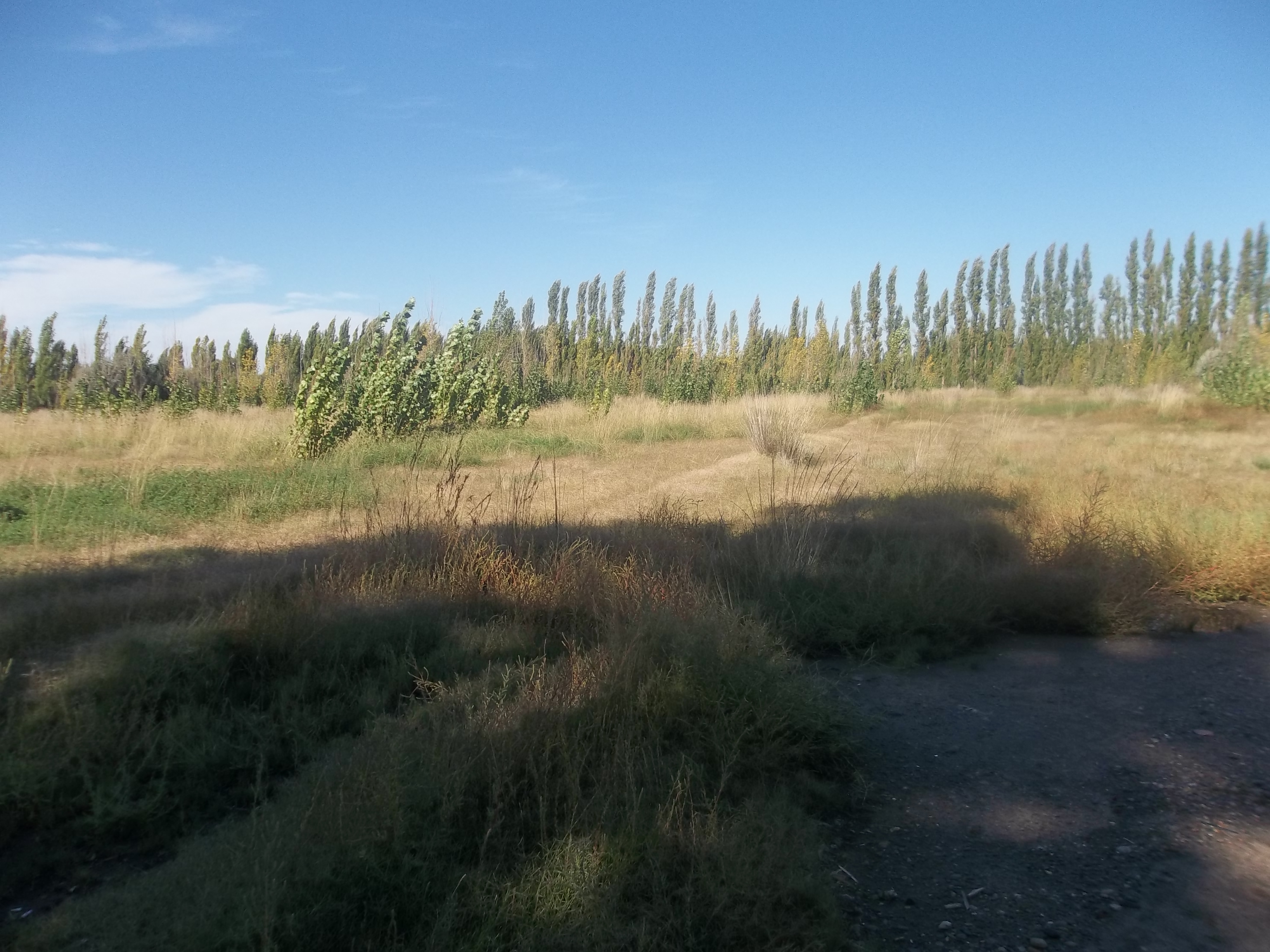 Sección Chacras · Avellaneda — foto 3