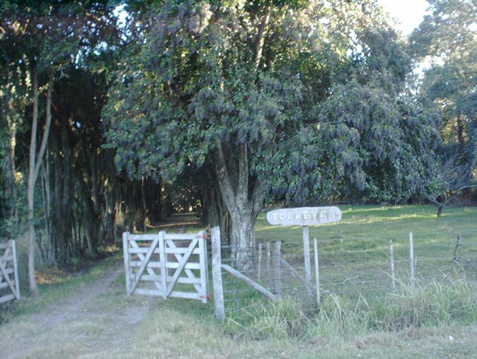 Acceso a Gowland · Mercedes — foto 3