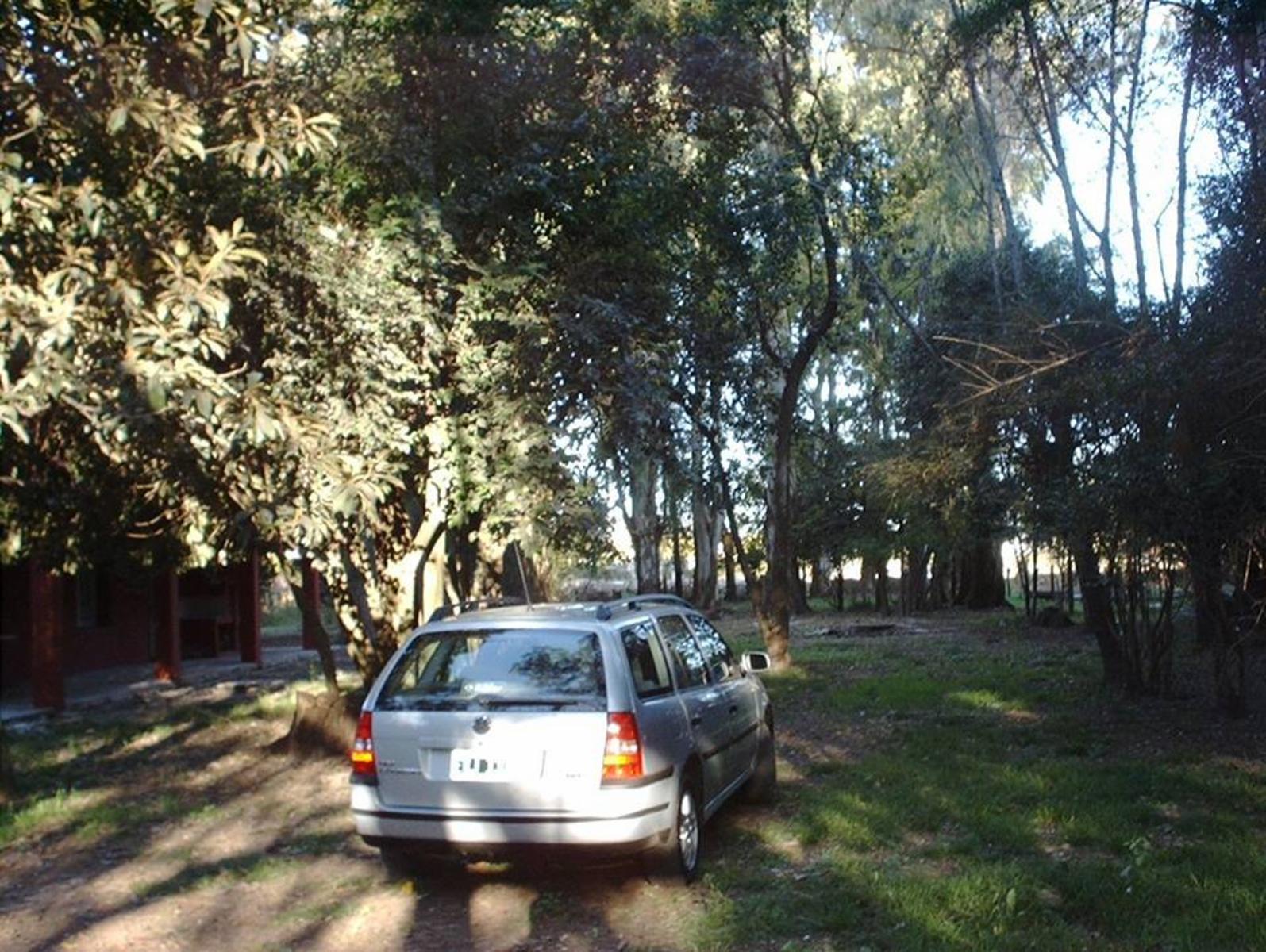 Acceso a Gowland · Mercedes — foto 5