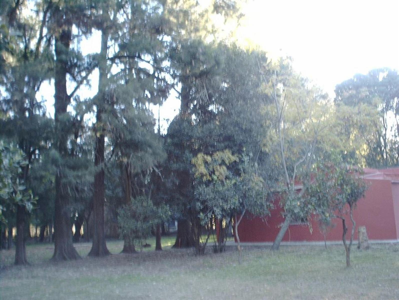 Acceso a Gowland · Mercedes — foto 9