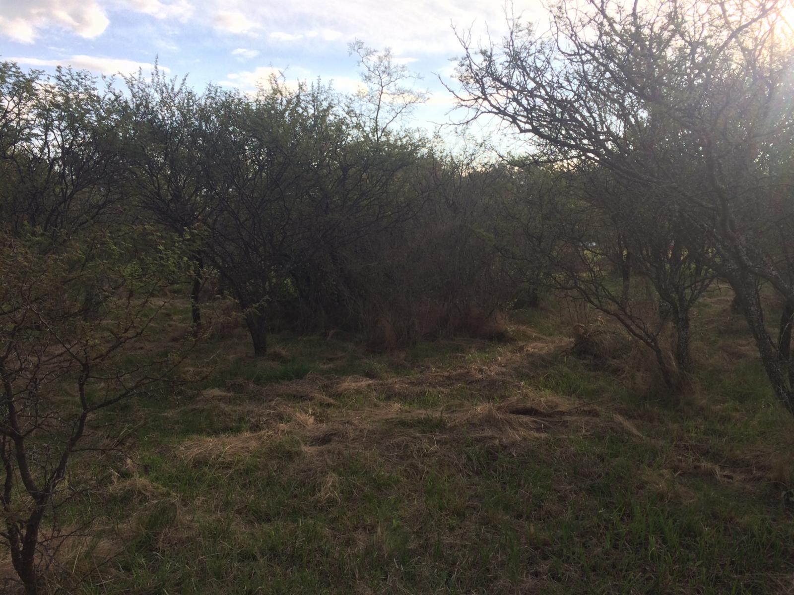 los morteritos   S/N Villa de las Rosas · San Javier — foto 4