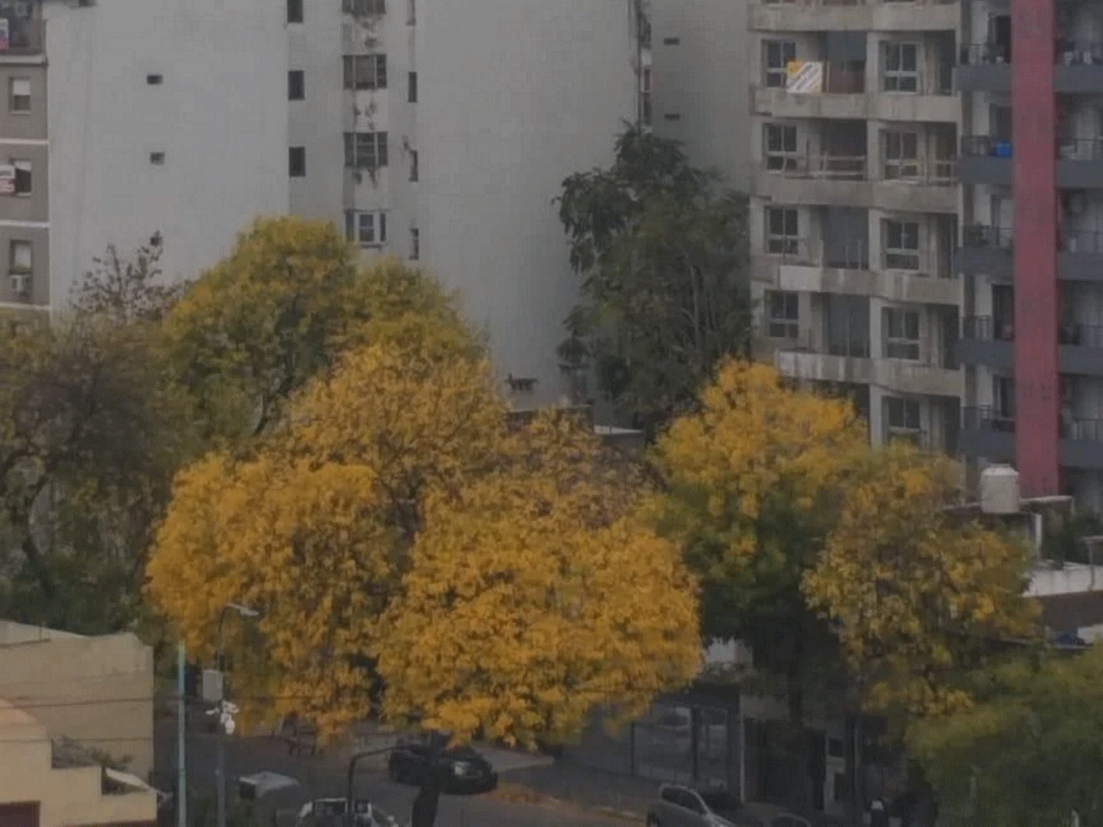 Av Directorio 900 · Caballito — foto 13