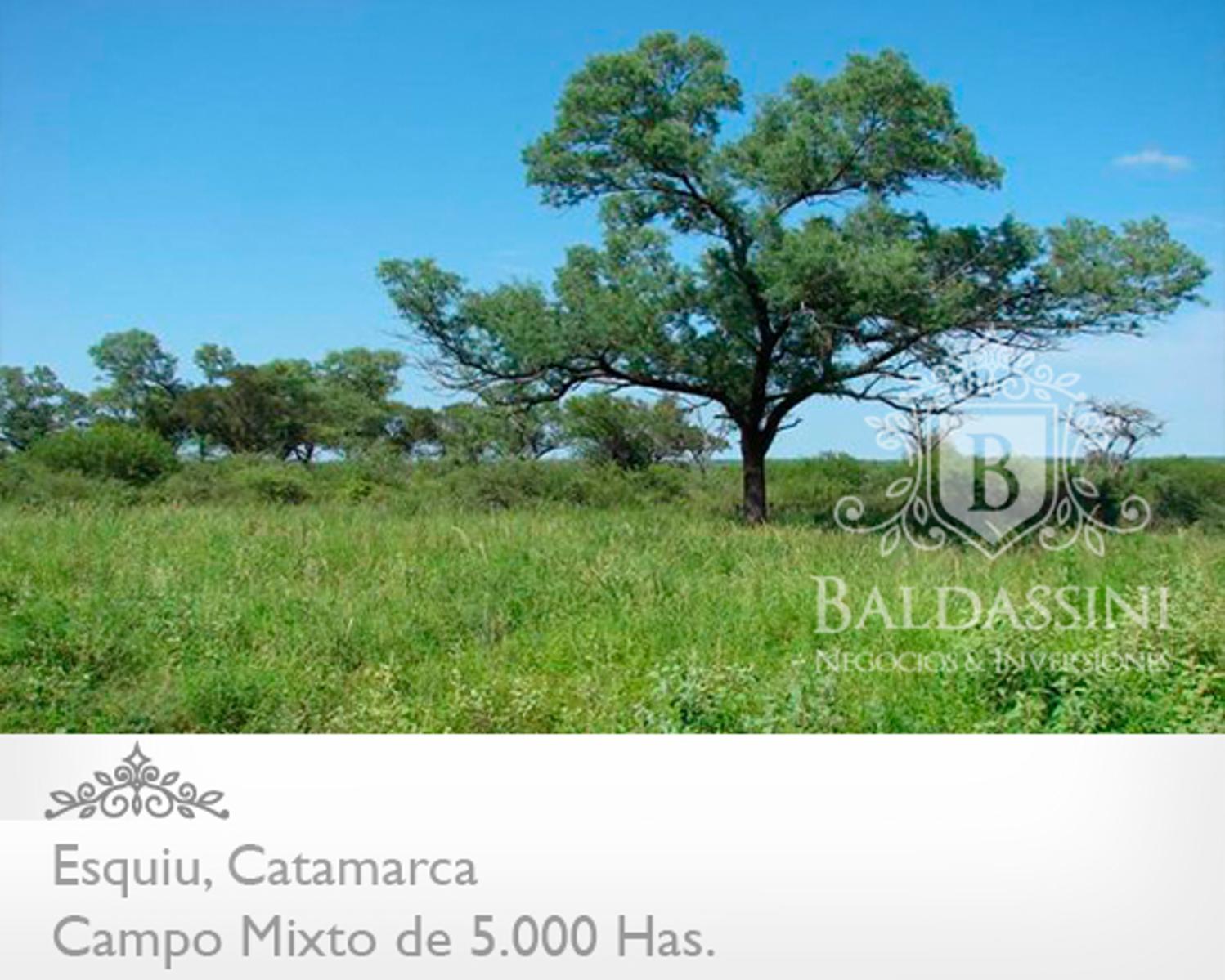 Campo Mixto 5000 has en Esquiú, Catamarca, Argentina