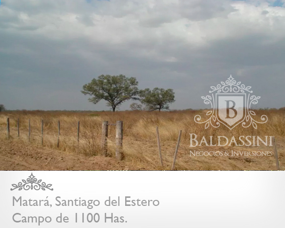 1100 HECTÁREAS EN MATARA - SANTIAGO DEL ESTERO