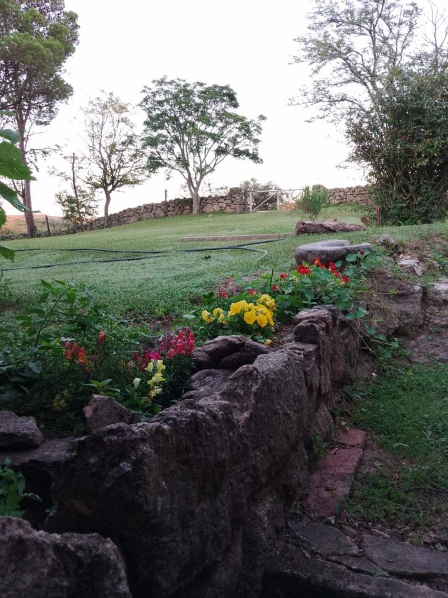 CAMINO A SAN JORGE · Totoral — foto 6