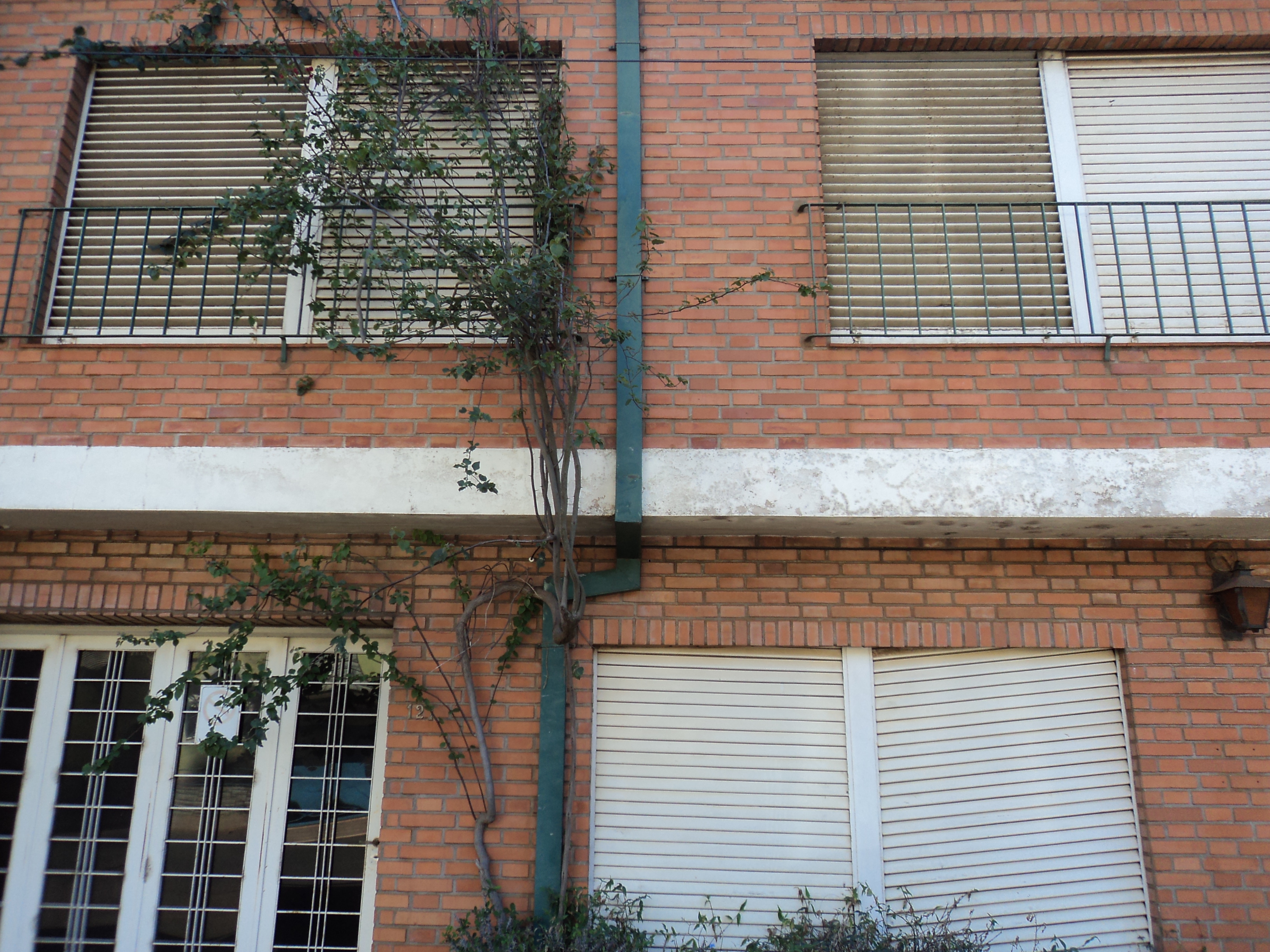 Santa casi Junin · Capital — foto 4