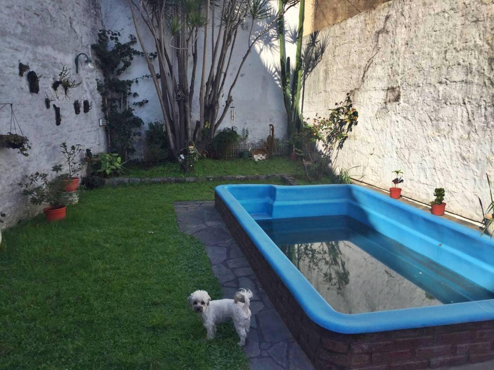 Enrique Ochoa 300 · Pompeya — foto 22