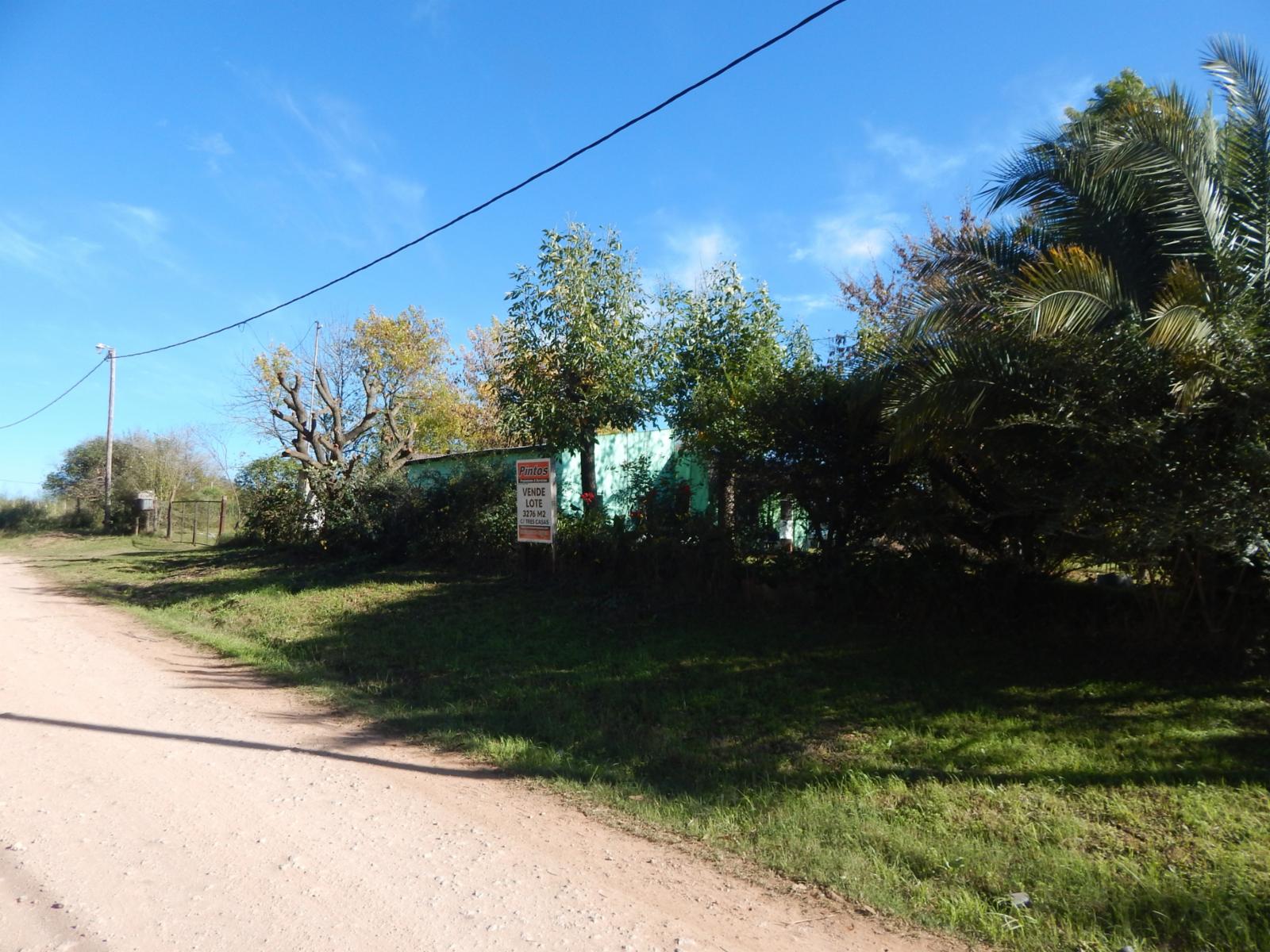 Publica · Colón — foto 4