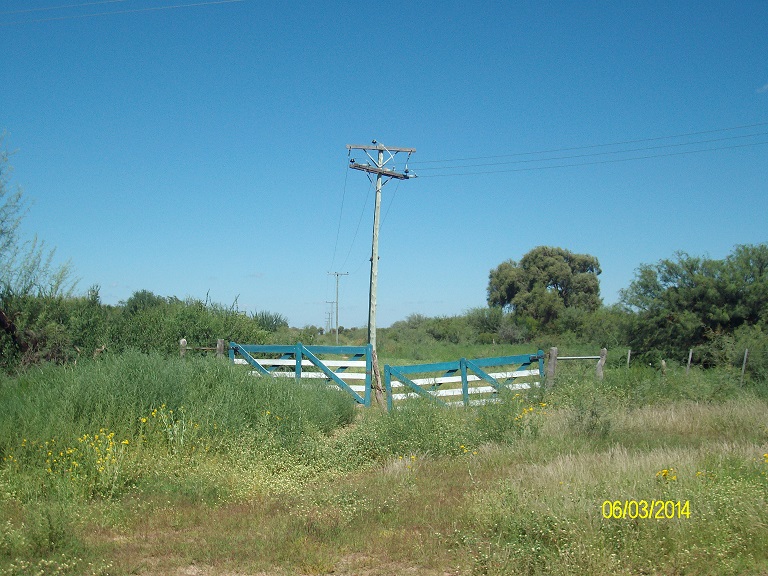 Ruta 16 1500 · La Capital — foto 6