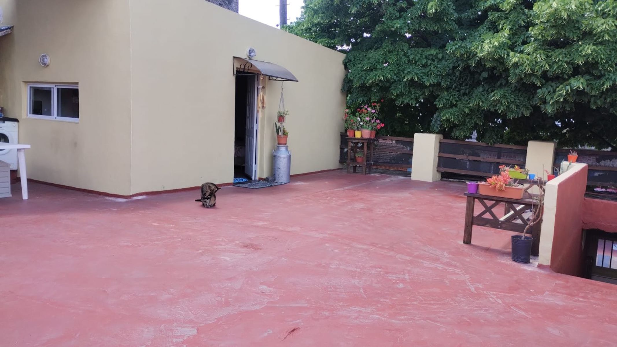 Brandsen al 1000 · Ituzaingó — foto 8