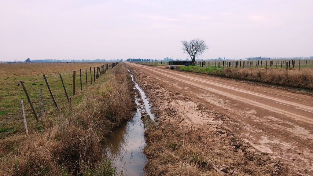 CAMPO 25 Ha EN LUIS PALACIOS 100% AGRÍCOLA