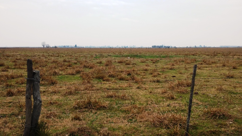 Zona rural Luis Palacios · Rosario — foto 4