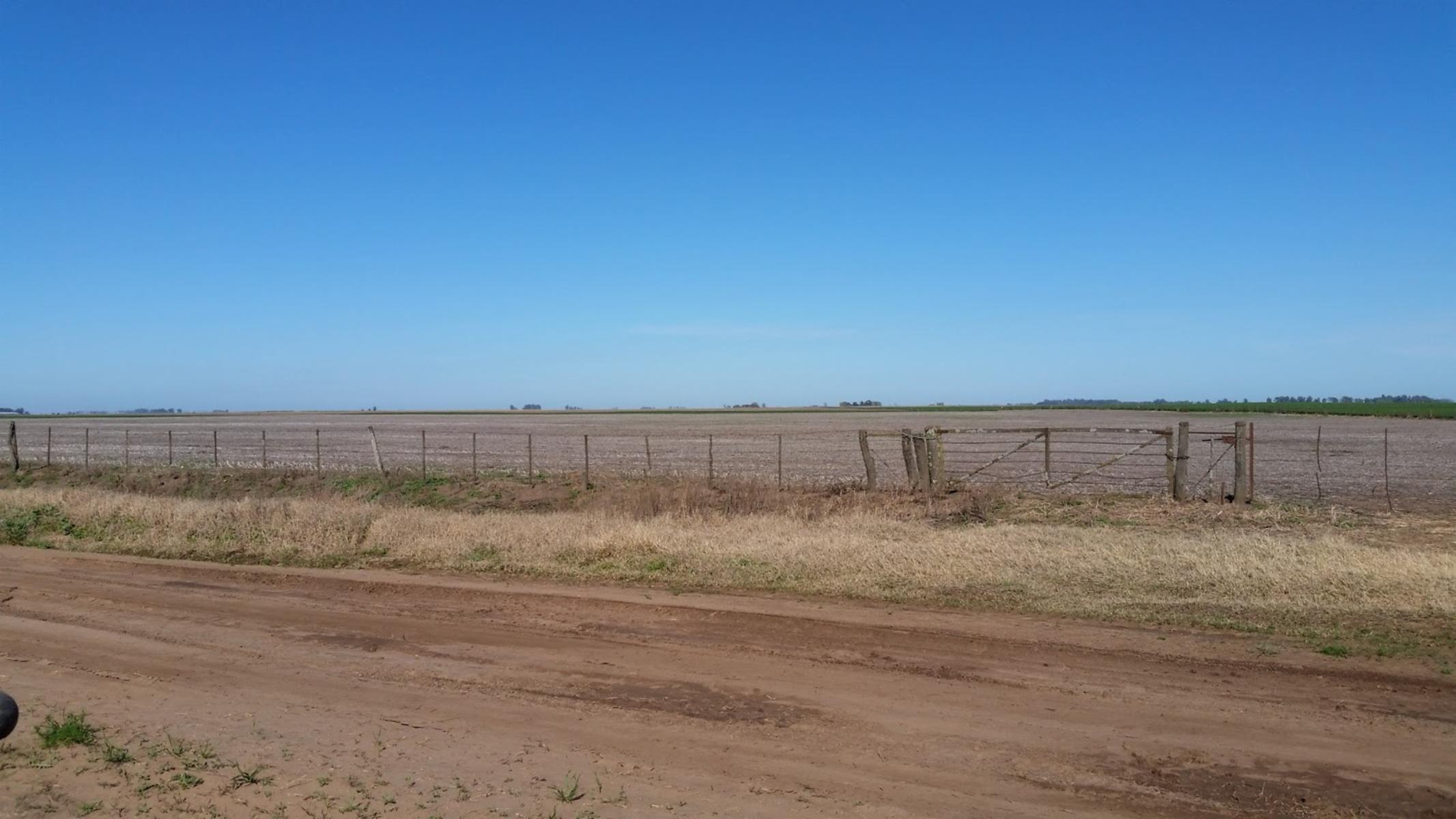 CAMPO DE 142 HECTÁREAS EN GUANACO, A 3 KM DE RUTA 5