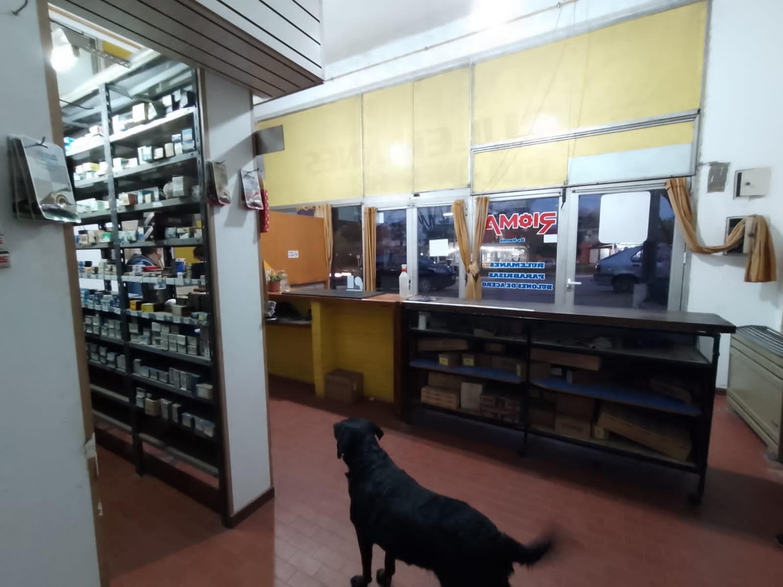 EN VENTA LOCAL COMERCIAL EN EXCELENTE UBICACION · Villa Gesell — foto 4