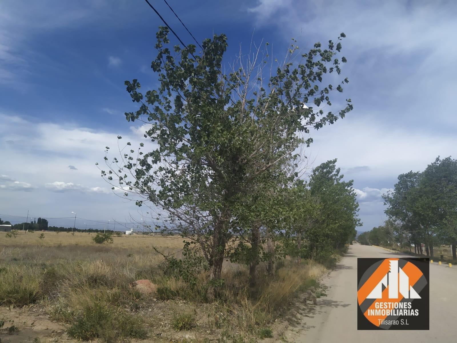 Calle Publica Tilisarao · Chacabuco — foto 3