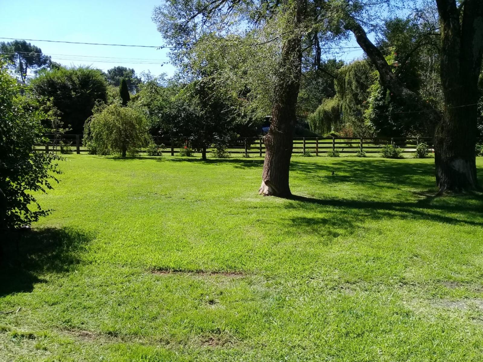 Eva al 800 · General Pueyrredon — foto 3