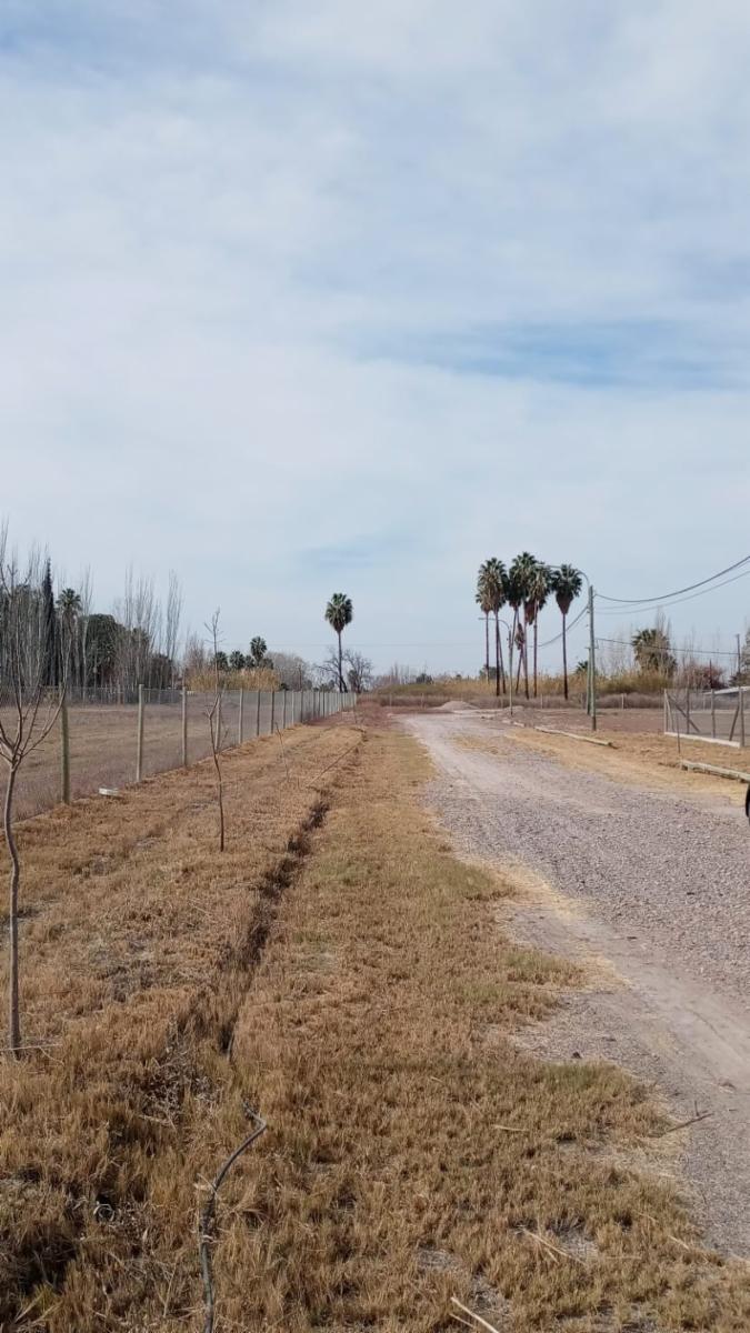 C.ALFONZO XII Y TIRASSO GUAYMALLÉN MENDOZA · Guaymallén — foto 13